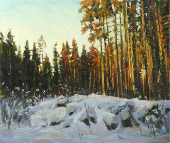 Winter forest in the rays of the setting sun (   ). Nikulin Sergey