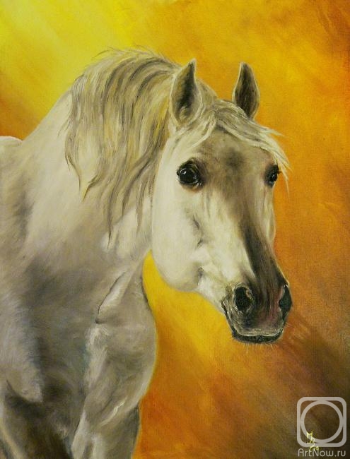 Vasileva Irina. �6