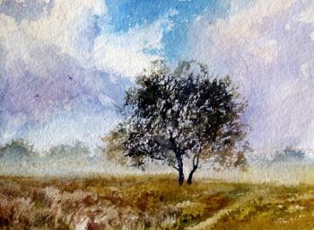 ������� ��������� ������