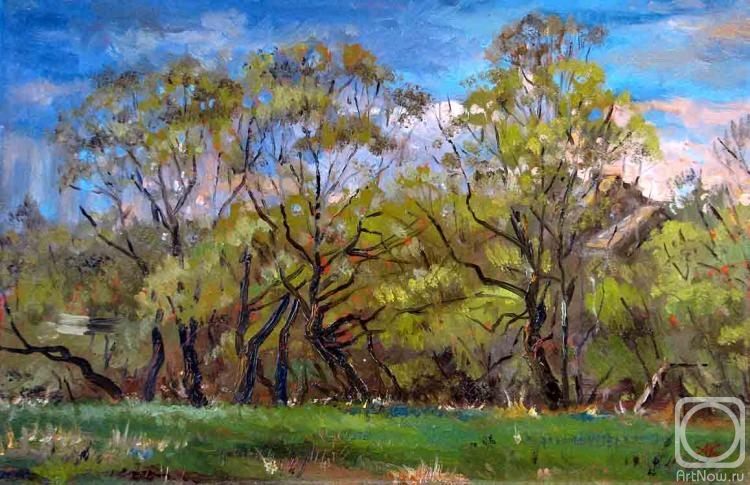 ������� ������ �� ������. ��������� �����. ��� � ����