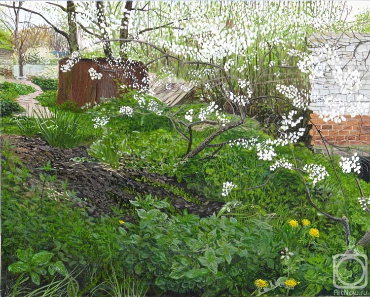 Poltavsky Aleksandr. 26-27.04.2010 - Blossom trees. Stavropol r., village Inozentcevo, street batalinskaya 9. Canvas on cartoon. Oil. (vasnas)