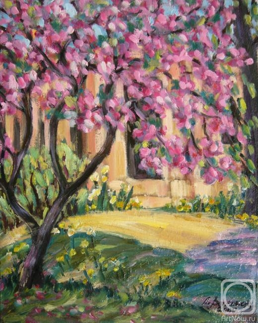 ������� ������ �� ������. ��������� �������. ��������. ����� ������