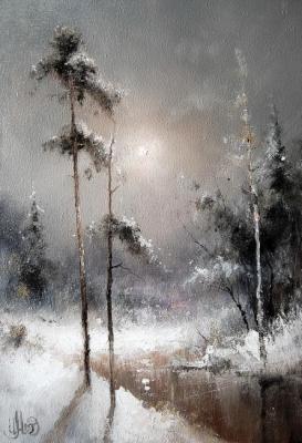 Winter study with pine trees