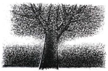 ������� �������