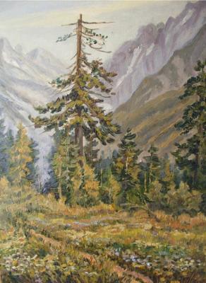 ������� �������. ��� �� ������ ������-�������