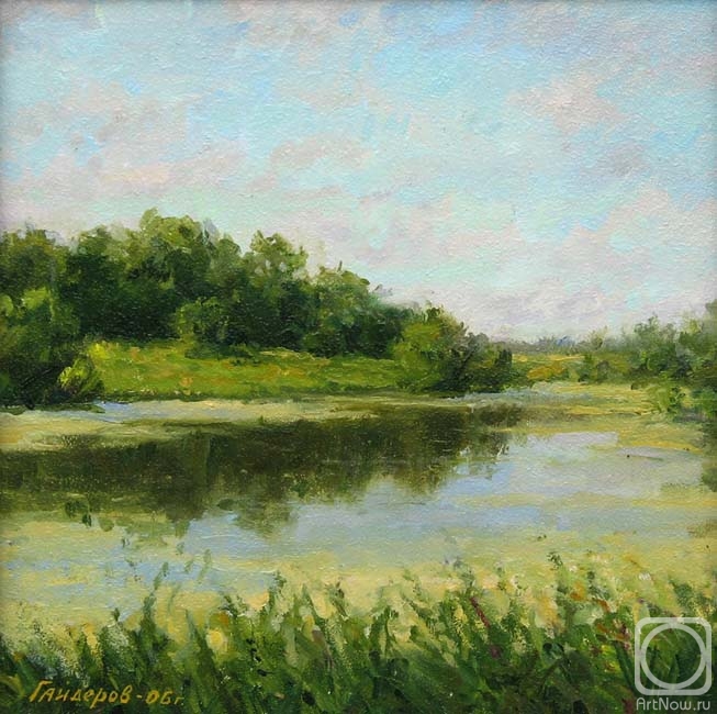 Gaiderov Michail. At an overgrown pond (study)