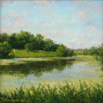 At an overgrown pond (study). Gaiderov Michail