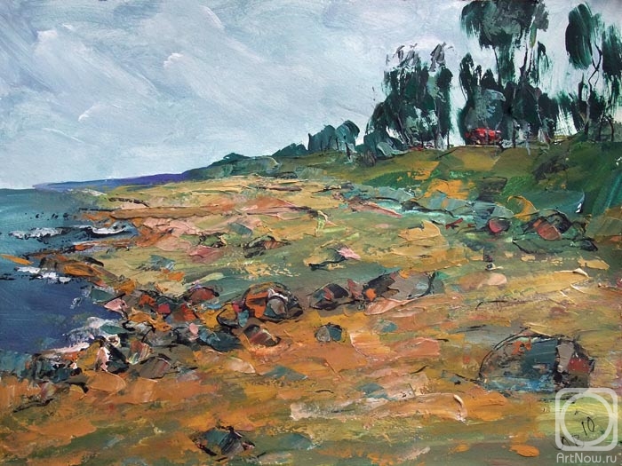 Lityshev Vladimir. Baltic Coast