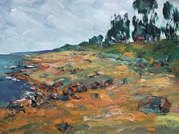 Baltic Coast. Lityshev Vladimir