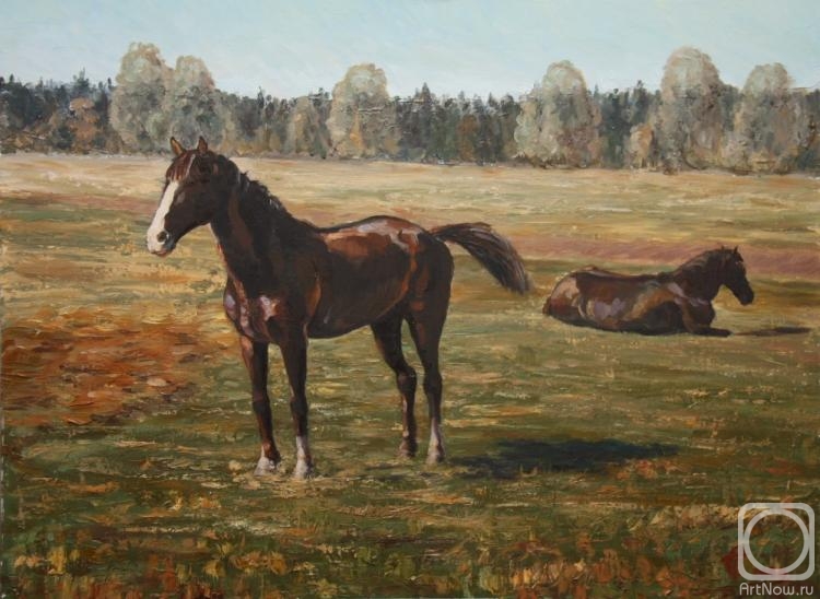 ������� ������ �� ������. �������� �����. ��� ������ �� ����������� ����