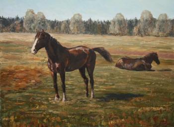 Two horses ( ). Trefilov Anton