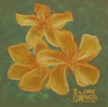 ������� ���������