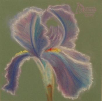 ������� ����������� ����