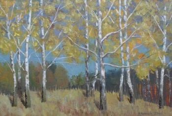 Autumn birches on a hill. Chernyy Alexandr