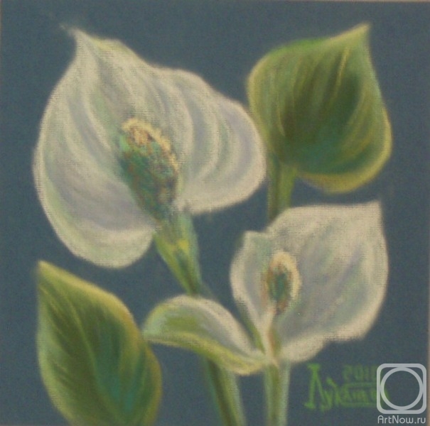 �������. �������� ������. ������������ ��������