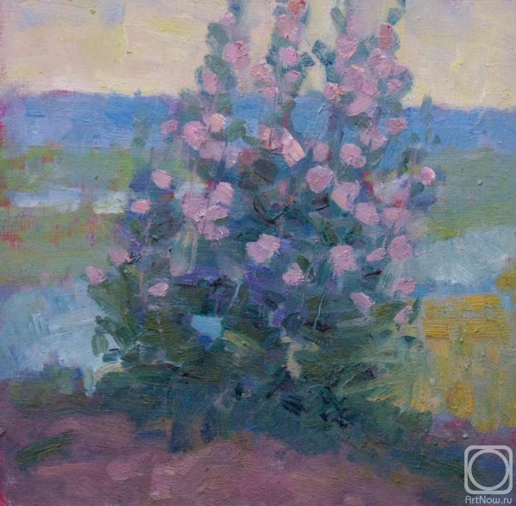 ������� ������ �� ������. ���������� ������. ������ �����