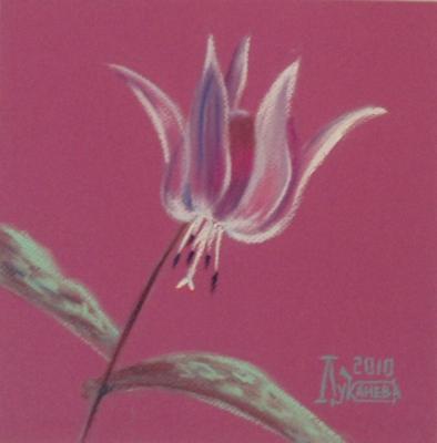 ������� �ϸ��� ���