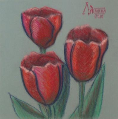 Red tulips. Lukaneva Larissa