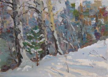 Romance of the winter forest in cold colors. Arepyev Vladimir