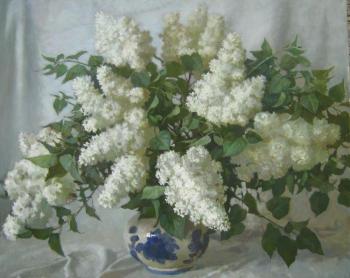 White lilac. Saprunov Sergey