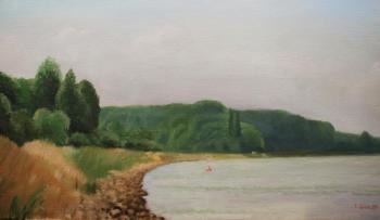 Summer Day on the Rhine. Schitz Viktor