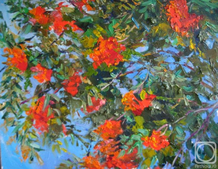 ������� ������ �� ������. ��������� ����. ������ ����