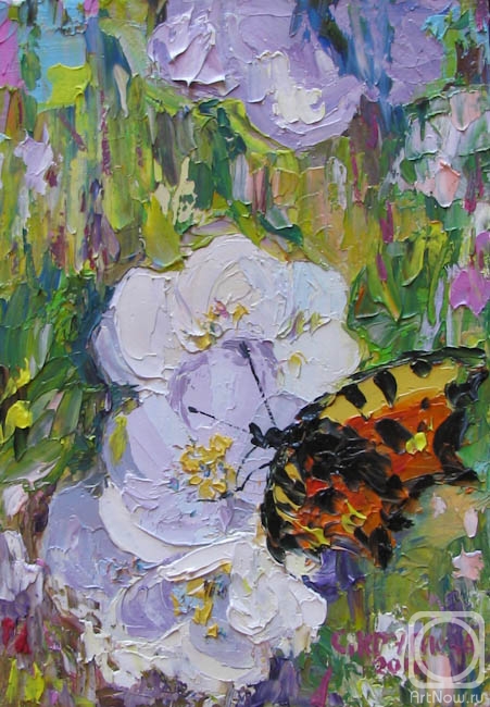 Kruglova Svetlana. Butterfly on Jasmine