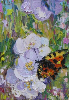 Butterfly on Jasmine. Kruglova Svetlana
