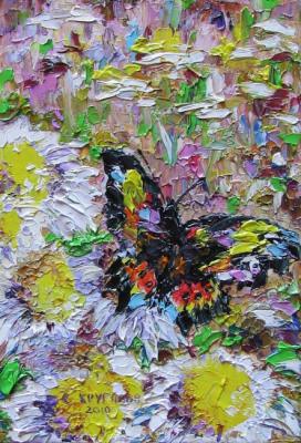 Butterfly in a field. Kruglova Svetlana