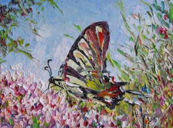 Butterfly on the meadow. Kruglova Svetlana