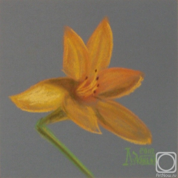 �������. �������� ������. ������������