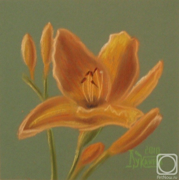 �������. �������� ������. Norton Orange