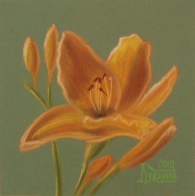Norton Orange (Day-Lily). Lukaneva Larissa