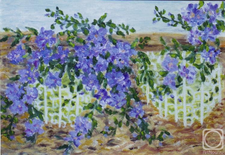 Bekman Rita. Untitled