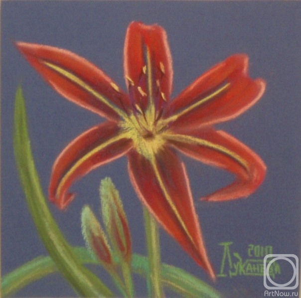 �������. �������� ������. Teyas 2