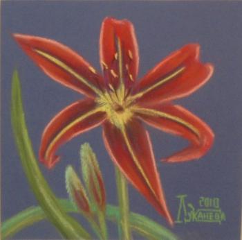 ������� �Teyas 2�