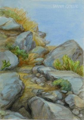 Path in the Mountains (study). Golub Tatyana