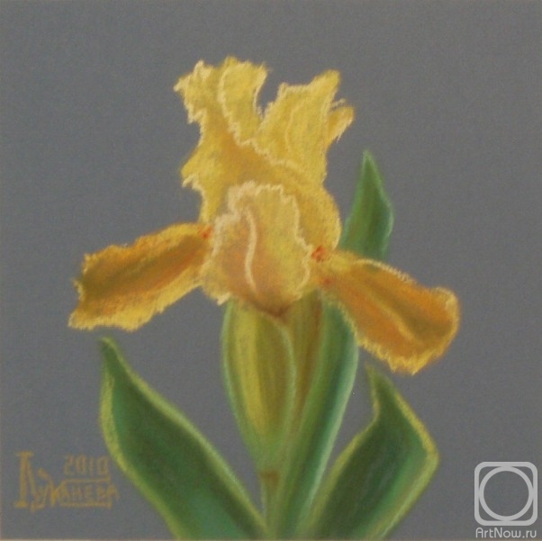 �������. �������� ������. Gleaming Gold