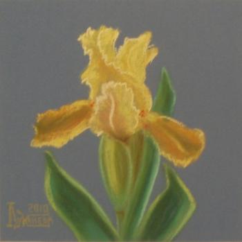 ������� �Gleaming Gold�