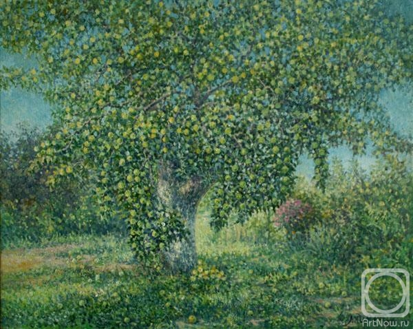 ������� ������ �� ������. ������ �����. ������ ������