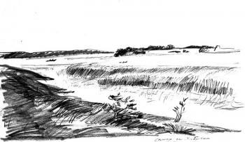 �ollection -� Graphics � 3� - 38/83