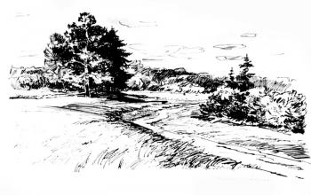 �ollection - � Graphics � 3� - 41/83