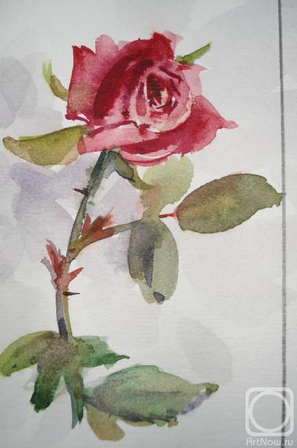 �������. ������� �����. ����