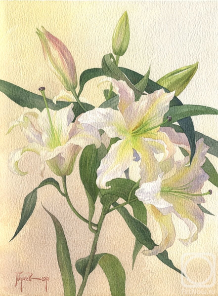 �������. ������� �����. �����