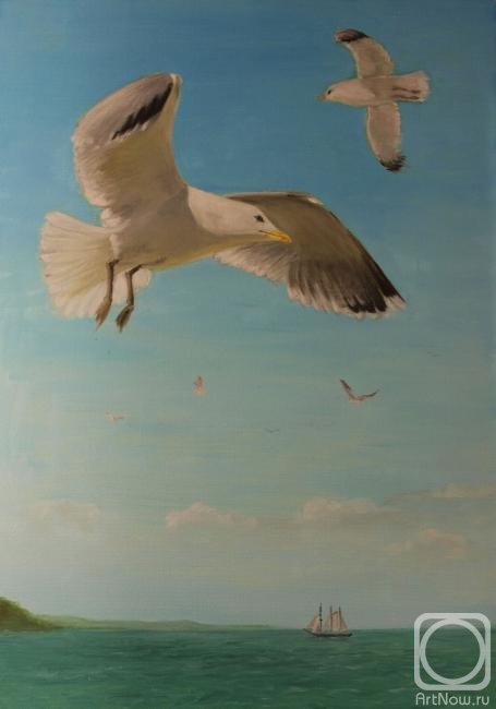 Schitz Viktor. Seagulls over the sea