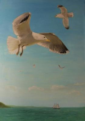 Seagulls over the sea. Schitz Viktor