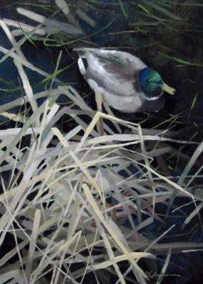 ������. �������� �������