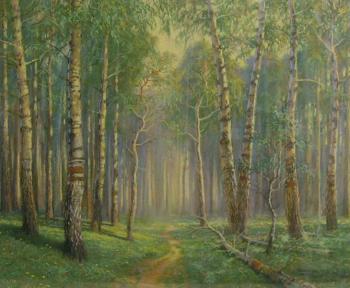Birch Grove. Mohov Alexandr
