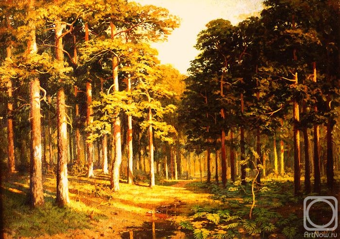 Mohov Alexandr. Path in the pine forest