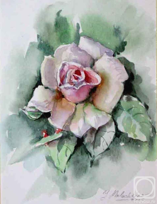 Malashkina Irina. White Rose